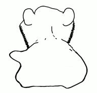 alternate animated back dancing_swede ear music soyjak stubble variant:impish_soyak_ears // 752x720, 25.2s // 7.2MB