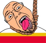 ack country dead flag flag:lesser_poland glasses hair hanging lesser_poland open_mouth poland rope soyjak stubble suicide teeth tongue variant:bernd voivodeship white_skin yellow_teeth // 768x719 // 31.3KB