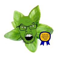 basil food leaf variant:feraljak white_background // 554x554 // 97.3KB