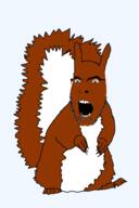 angry animal arm brown_skin full_body glasses hand leg open_mouth soyjak stubble subvariant:feralsquirrel tail trend:squirreljakking variant:cobson // 340x512 // 65.2KB