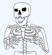 arm bone hand open_mouth ribcage series:skeletonjaks skeleton skull soyjak template transparent_background variant:norwegian // 723x770 // 24.4KB