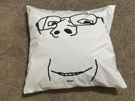 glasses irl irl_photo pillow soyjak stubble subvariant:wholesome_soyjak variant:gapejak // 4032x3024 // 2.5MB
