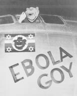 airplane american_flag amerimutt b-29_superfortress mcdonalds nigger pride_flag star_of_david subvariant:impish_amerimutt variant:impish_soyak_ears world_war_2 // 1113x1376 // 558.9KB