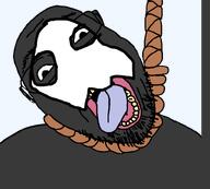 ACK! NIGGERFAGGOT changed furfag furnigger furry hanging i_hate_furfags iron_or_maybe_not low_quality nigger niggerfur niggerfurry puro variant:bernd // 800x719 // 48.5KB