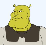 angry bald brown_eyes ear green_skin ogre shrek subvariant:mexiaryan variant:meximutt vest // 886x872 // 35.2KB