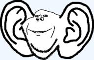 big_ears giant_ears no_body series:animaljaks swedefly variant:impish_soyak_ears wing // 1143x731 // 18.8KB
