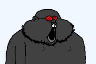 9a0c bald meta:namefags open_mouth red_glasses stubble variant:hamjak // 3750x2500 // 57.8KB