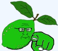 closed_mouth food foodjak fruit glasses green_skin hand lime neutral pointing pointing_at_viewer series:fruiterz! soyjak stubble subvariant:neutralplier variant:markiplier_soyjak // 255x225 // 44.5KB