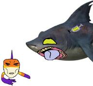 blue_eyes fish open_mouth serious shark subvariant:unbotheredchud syringe the_reef the_reef_2 variant:bernd variant:chudjak yellow_eye // 1080x999 // 134.6KB