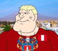 arequipa arequipeño aryan_chad muscular_male nazism peru peruvian rich trend:aryan // 385x345 // 138.2KB