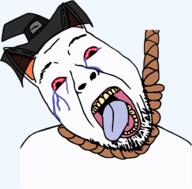 ack animal cat chlomaki crying funamusea furry hanging open_mouth red_eyes rope suicide susctopus variant:bernd wizard_hat // 1877x1843 // 666.2KB