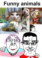 animal cat dog ferret frog glasses hair hugging otter pink_hair pitbull smile stubble swastika toad transgender_flag trend:squirreljakking variant:bernd variant:chudjak // 1057x1456 // 1.4MB