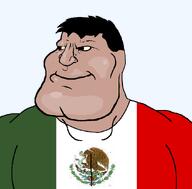black_eyes buff clothes flag flag:mexico flag_shirt hair subvariant:mexiaryan tan_skin variant:meximutt yellow_sclera // 884x871 // 49.0KB