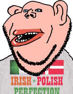 amerimutt blue_eyes clothes flag flag:ireland flag:poland ireland mutt poland subvariant:impish_amerimutt tshirt united_states variant:impish_soyak_ears // 1098x1416 // 329.4KB