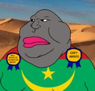 africa award flag:mauritania grey_skin mauritania meximutt mutt soyjak star_(symbol) text variant:meximutt // 888x849 // 354.0KB