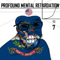 angry animal bald bird black_eyes black_hole black_sclera clenched_teeth closed_mouth cracked_teeth drool eagle ear flag flag:north_dakota flag:united_states glasses hair holding_object iq iq_bell_curve latin_text mustache nightmare_fuel no_pupils north_dakota profound_mental_retardation retard soyjak star_(symbol) state stubble text united_states variant:feraljak wrinkles // 1024x1024 // 248.5KB