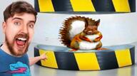 femur_breaker hydraulic_press irl mr_beast scp_-_containment_breach scp_foundation squirrel squirreljak subvariant:feralsquirrel variant:feraljak // 854x480, 39.1s // 4.9MB