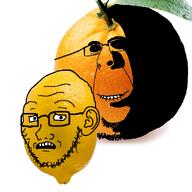 food fruit lemon orange rape scared shadow subvariant:hornyson subvariant:soyak_(concerned) variant:cobson // 1280x1280 // 1.1MB
