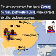 armenia armenigger armeniroach asia beard brown_skin china cockroach cockroach_farm fail flag:armenia glasses hanging hindu hinduism map nigger noose roach rope soyjak star_of_david stolen_gem stubble subvariant:blowjob_gapejak variant:bernd variant:feraljak variant:gapejak // 1920x1920 // 359.3KB