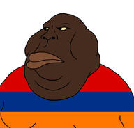 angry armenia black_skin flag:armenia nigger obese subvariant:bantumutt variant:meximutt yellow_sclera // 888x849 // 148.9KB