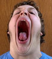 hair irl irl_soy meta:variant_origin open_mouth phillip_angus series:irl_soyjaks teeth template tongue variant:phillip // 528x593 // 140.5KB