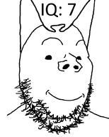 cat_ear iq normal series:unfunnycreature smile subvariant:wholesome_soyjak variant:gapejak // 642x800 // 23.6KB