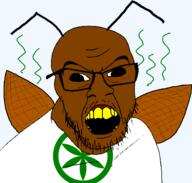 ape bonobo cockroach faggot italy kike monkey nigger padania shitskin troon variant:feraljak // 1508x1438 // 100.5KB