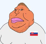 acne fat flag hair moles mutt neckbeard pedostache slovakia variant:meximutt // 900x849 // 26.2KB