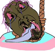 bloodshot_eyes brown brown_troonjak chud_(boorufag) chud_(soybooru) cross_eyes crossed_eyes crying distorted kike liquify liquify_tool meta:op_took_a_selfie_of_xerself nigger open_mouth retard rope soyjak suicide tongue tranny variant:bernd // 768x719 // 129.0KB