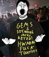 black_hair facing_front front_facing glasses hair keyed looking_at_you mouth_open open_mouth shadow shirt_with_words soy soyjak text tourist variant:gapejak white_skin wordswordswords // 600x703 // 233.3KB