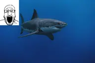 approve_this_one_instead_please fish glasses markiplier open_mouth photo picture shark soyjak stubble variant:markiplier_soyjak // 3000x2000 // 490.2KB