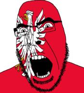 animal bird country eagle flag flag:masovian full_head glasses hair looking_to_the_right masovian open_mouth poland soyjak stubble teeth text variant:cobson voivodeship // 721x789 // 126.9KB
