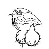 bird glasses nas neutral testicles variant:markiplier_soyjak // 1098x1097 // 29.6KB