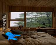 bed bedroom calm closed_eyes variant:feraljak // 676x540, 7.2s // 1.0MB