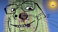 3soyjaks animal bird brown_skin cactus desert ear glasses glowing_eyes green_skin music open_mouth plant red_eyes smile soyjak stubble sun variant:feraljak variant:gapejak variant:impish_soyak_ears woodpecker // 1920x1075 // 2.2MB