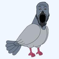 animal beak bird feather full_body open_mouth pigeon series:animaljaks soyjak stubble variant:markiplier_soyjak wing // 1600x1600 // 27.2KB