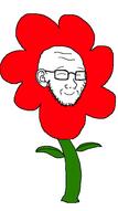 animated closed_mouth flower glasses music plant smile sound soyjak stubble variant:soyak video // 898x1600, 244.8s // 12.1MB