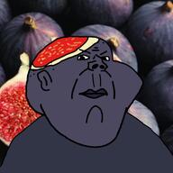 angry fig food fruit greece series:operation_fruitjak subvariant:kranos variant:impish_soyak_ears // 768x768 // 48.7KB