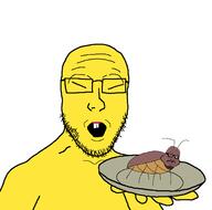 bug china holding_object holding_plate open_mouth plate stubble teeth variant:a24_slowburn_soyjak variant:platejak yellow_skin // 1366x1350 // 94.4KB
