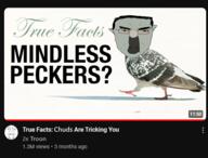 pigeon variant:bernd variant:chudjak youtube // 543x414 // 132.5KB