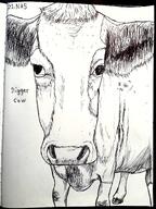 animal art black_and_white cow drawfag drawing ear hooves ink meta:soytober meta:soytober2025 nas:nigger_cow nigger nigger_cow text // 3000x4000 // 10.7MB animal art black_and_white cow drawfag drawing ear hooves ink meta:soytober meta:soytober2025 nas:nigger_cow nigger nigger_cow text // 3000x4000 // 10.7MB