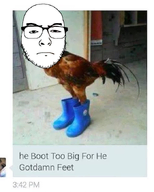 boot boots chicken glasses nose screenshot stubble variant:uncjak // 544x677 // 296.5KB