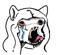bloodshot_eyes distorted furry glasses glegle lgbt_(4chan) slopjak soyjak tongue tranny tranny_meme variant:unknown // 312x293 // 44.4KB