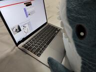 bbc bee_bee_sea blahaj glasses irl queen_of_spades shark smile soyjak soyjak_party stubble tattoo text variant:cobson // 4000x3000 // 1.6MB