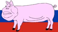 animal ear fat flag:russia nose pig pink_skin russia swine variant:meximutt // 1780x992 // 59.8KB
