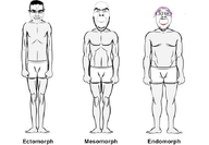 body ectomorph endomorph mesomorph subvariant:chudjak_front subvariant:cobson_front2 troon variant:bernd variant:chudjak variant:cobson weight // 680x472 // 118.9KB