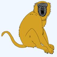 animal full_body fur glasses langur monkey open_mouth series:animaljaks stubble tail variant:a24_slowburn_soyjak // 1600x1600 // 26.7KB