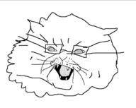 angry animal cat catjak fangs glasses head_only hissing open_mouth persian_cat poorly_drawn soyjak teeth teeth_showing variant:unknown whiskers white_background // 734x583 // 13.2KB