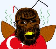 antenna beard black_eyes blood brown_skin bug clothes cockroach cross_eyed flag flag:turkiye glasses hair roach smell soyjak teeth transparent_background turk turkiye turkroach tvrkaryan unibrow variant:feraljak wing yellow_teeth // 1508x1313 // 195.1KB