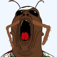 bug cockroach hanged tadjroach tajik tajikistan // 1620x1620 // 981.3KB